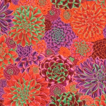 images/categorieimages/foto-categorie-kaffe-fassett-1.jpg