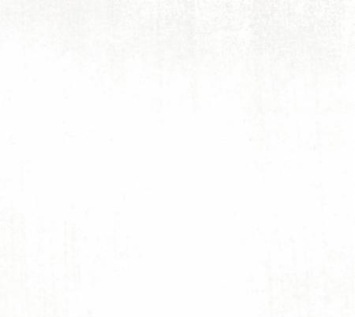 images/productimages/small/grunge-white-paper-101.jpg