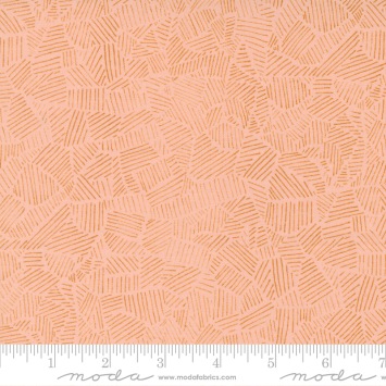 images/productimages/small/meander-field-peach-24583-12-moda-fabrics.jpeg