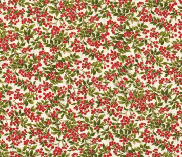 Kerst-166