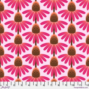 AH075maraschino