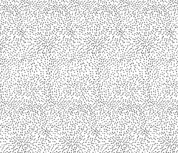 Zwart-Wit-025